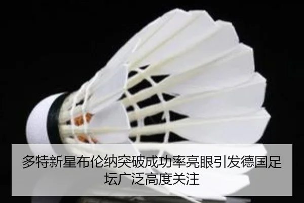 多特新星布伦纳突破成功率亮眼引发德国足坛广泛高度关注